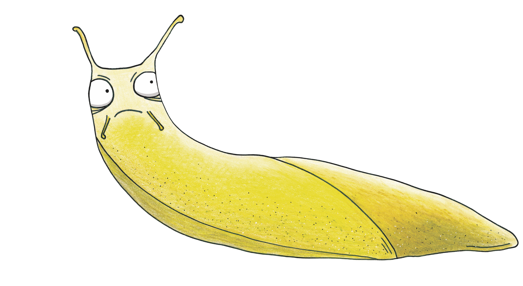 to Banana Slug Studio